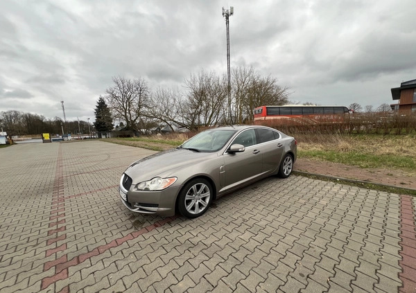 Jaguar XF cena 31900 przebieg: 196902, rok produkcji 2008 z Jarocin małe 277